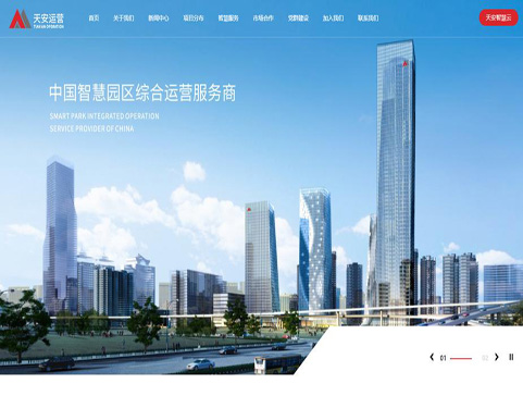 深圳天安智慧園區(qū)運(yùn)營(yíng)有限公司網(wǎng)站建設(shè)項(xiàng)目